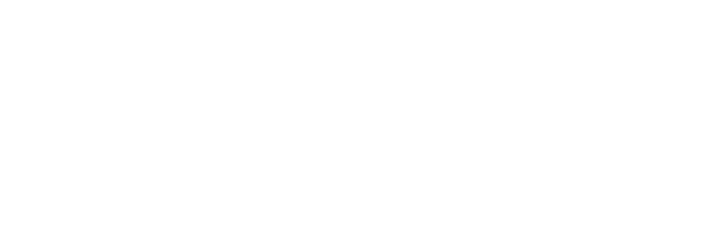 Lovis Logo